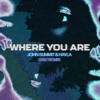John Summit, HAYLA & GRiZ - Where You Are (GRiZ Remix) album artwork