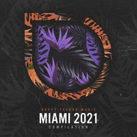 VA - Happy Techno Music Miami 2021 [HTMC17]