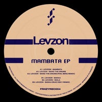 Levzon & Phil Berg - Bang the Drums (Phil Berg Remix) album artwork