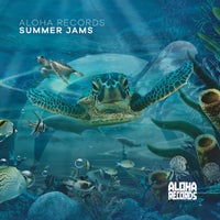 VA - Aloha Records - Summer Jams [Aloha Records]