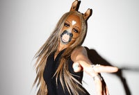 horsegiirL
