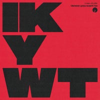 Max Styler - I Know You Want To album artwork
