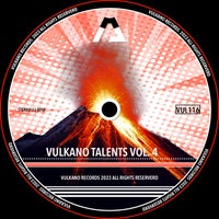 VA - Vulkano Talents Vol.4 [VUL116]