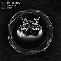VA - Best of 2022 [DHB052][FLAC]