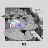 VA - Mind Connector Best Of 2022 [Mind Connector Records]