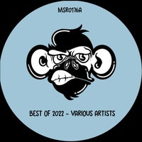VA - Best of 2022 MSR0176A Monkey Stereo Records