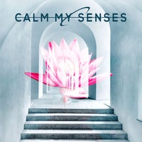 VA - Calm my Senses [Space Rabbits Records]