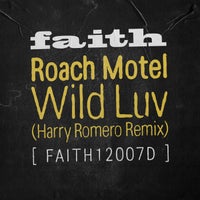 Roach Motel - Wild Luv (Harry Romero Extended Remix) album artwork