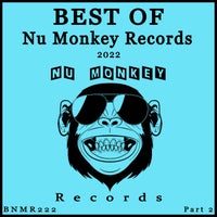 VA - Best Of Nu Monkey Records 2022 Part 2 BNMR222