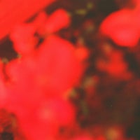 Ana Rs - In the Warmth of the Red Lights album artwork