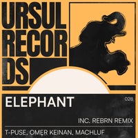 T-Puse & Omer Keinan - Elephant (feat. מכלוף) album artwork
