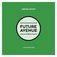 VA - 2 Years Future Avenue [FA018LP]