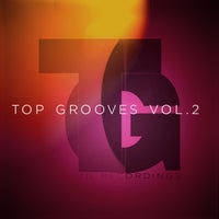 VA - Top Grooves Vol.2 [TG Recordings]
