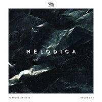 VA - Melodica Vol. 14 [Variety Music]