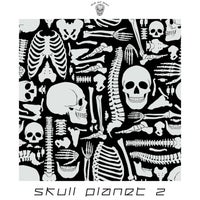 VA - Skull Planet 2 [Skull And Bones]