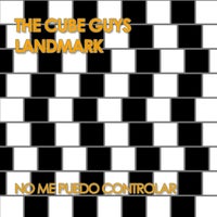 Landmark & The Cube Guys - No Me Puedo Controlar (The Cube Guys Mix) album artwork