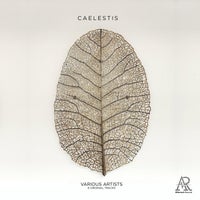 VA - Caelestis AR075