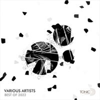 VA - Best Of 2022 TDRBST022 Tonic D Records
