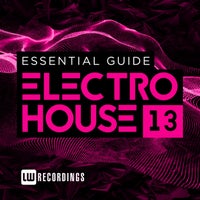 VA - Essential Electronica, Vol. 13 [LW Recordings]