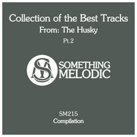 VA - Collection of the Best Tracks from The Husky, Pt. 2 [Something Melodic]