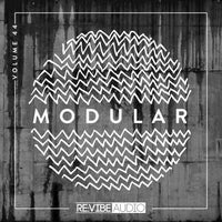 VA - Modular, Vol. 44 [Re vibe Audio]