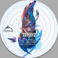 VA - Crpt018 [Carpathian Sounds]