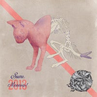 Coyu - Belize (Riva Starr Remix) album artwork