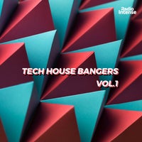 VA - Tech House Bangers Vol.1 [RI005]
