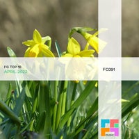 VA - FG Top 10 April 2022 [FGComps]