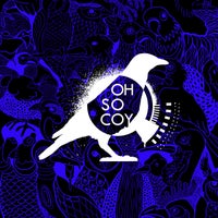 VA - Flavouritism Vol. 7 [Oh So Coy Recordings]