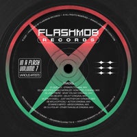 VA - In A Flash, Vol. 7 [FMR200]