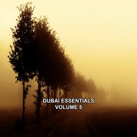 VA - Dubai Essentials, Vol. 5 [Digital Village Music]