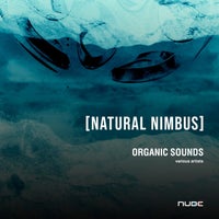 VA - Natural Nimbus - Various Artists [Nube Music Records]