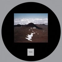 Developer - The Provoker album artwork