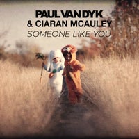 Paul van Dyk & Ciaran McAuley - Someone Like You album artwork