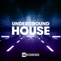 VA - Underground House, Vol. 08 [LWUHOUSE08]
