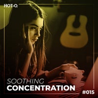 VA - Soothing Concentration 015 [LW Recordings]