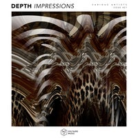 VA - Depth Impressions Issue 27 VOLTCOMP1190