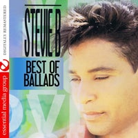 Stevie B - Dream About You album artwork