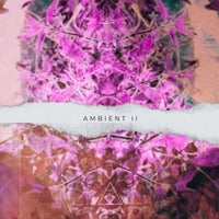 VA - Ambient II [Atlantea Records]