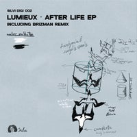 Lumieux - Sitral Six Hundred (Brizman Remix) album artwork