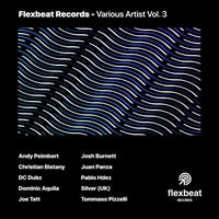 VA - Flexbeat Records - Various Artists Vol. 3 [Flexbeat Records]