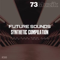 VA - Future Sounds Synthetic Compilation [73 Muzik]