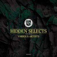VA - Hidden Selects Vol.3 [DDHS003]