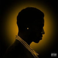 Gucci Mane - I Get the Bag (feat. Migos) album artwork