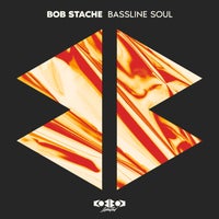 Bob Stache - Bassline Soul album artwork