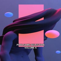VA - Poolgame Selection, Vol. 6 [Into My House]