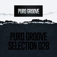 VA - Puro Groove Selection 028 [Puro Groove]