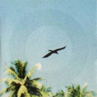 Orbital & Angelo Badalamenti - Beached (Long Version) album artwork