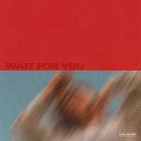 J Vibez - Wait For You album artwork